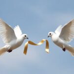 лучшие знаки для союза с весами